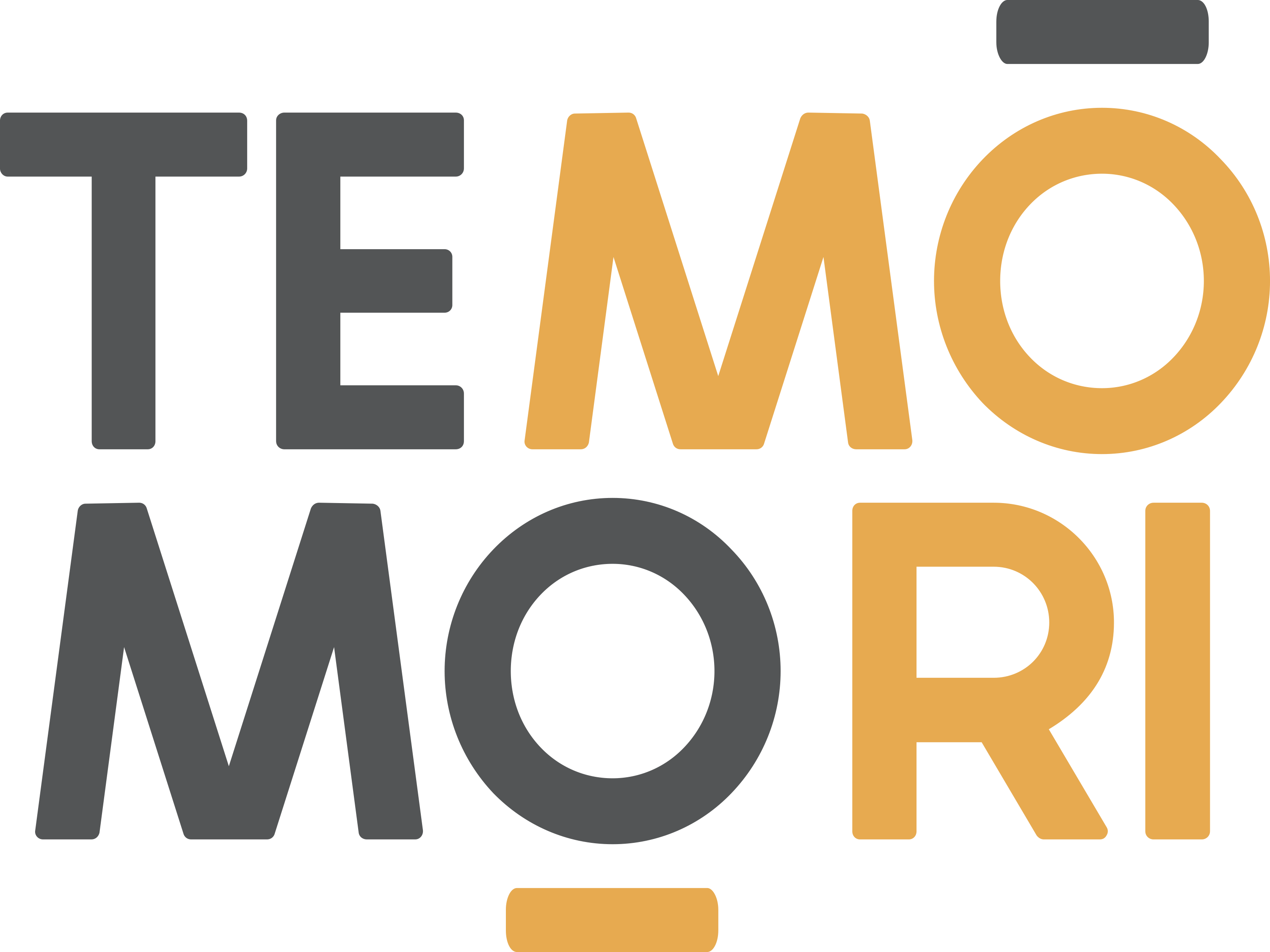 TEMO MORI_LOGO